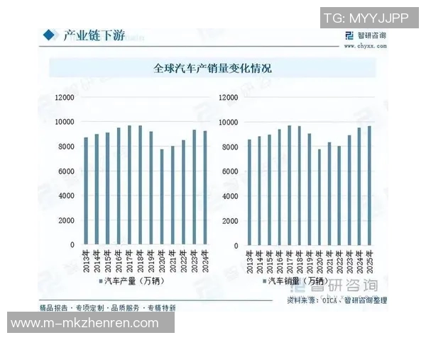 2026年3月份新闻杭州排球队技术分析与发展探讨聚焦排球运动的未来与挑战